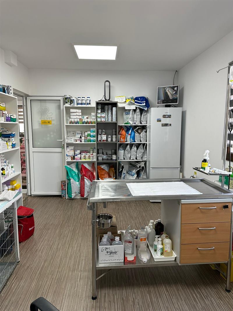 Pacient la cabinetul veterinar Carisa Vet Medical